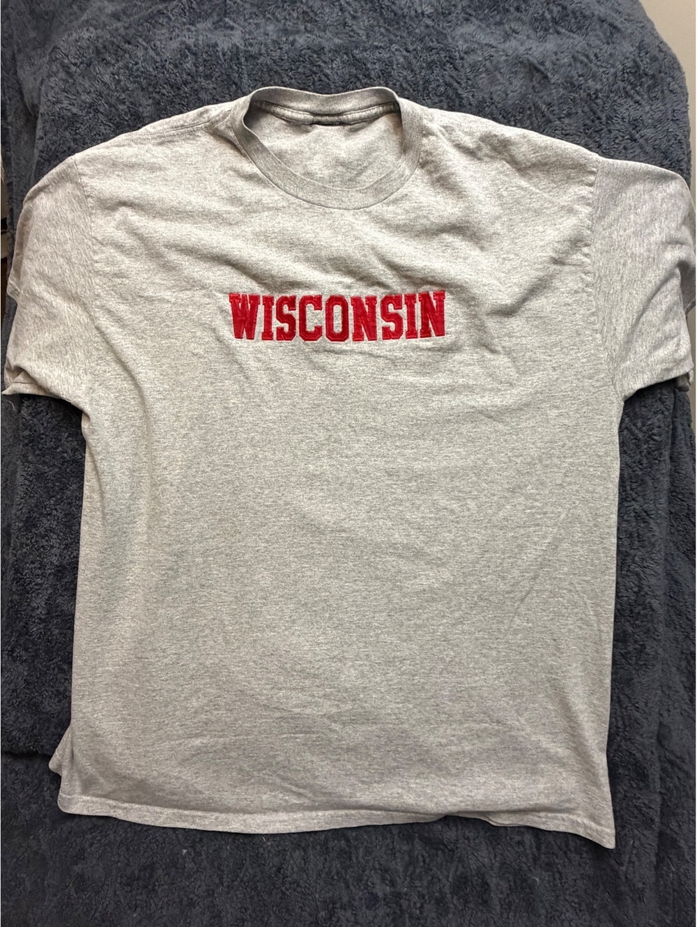 Gray Wisconsin Embroidered T-Shirt